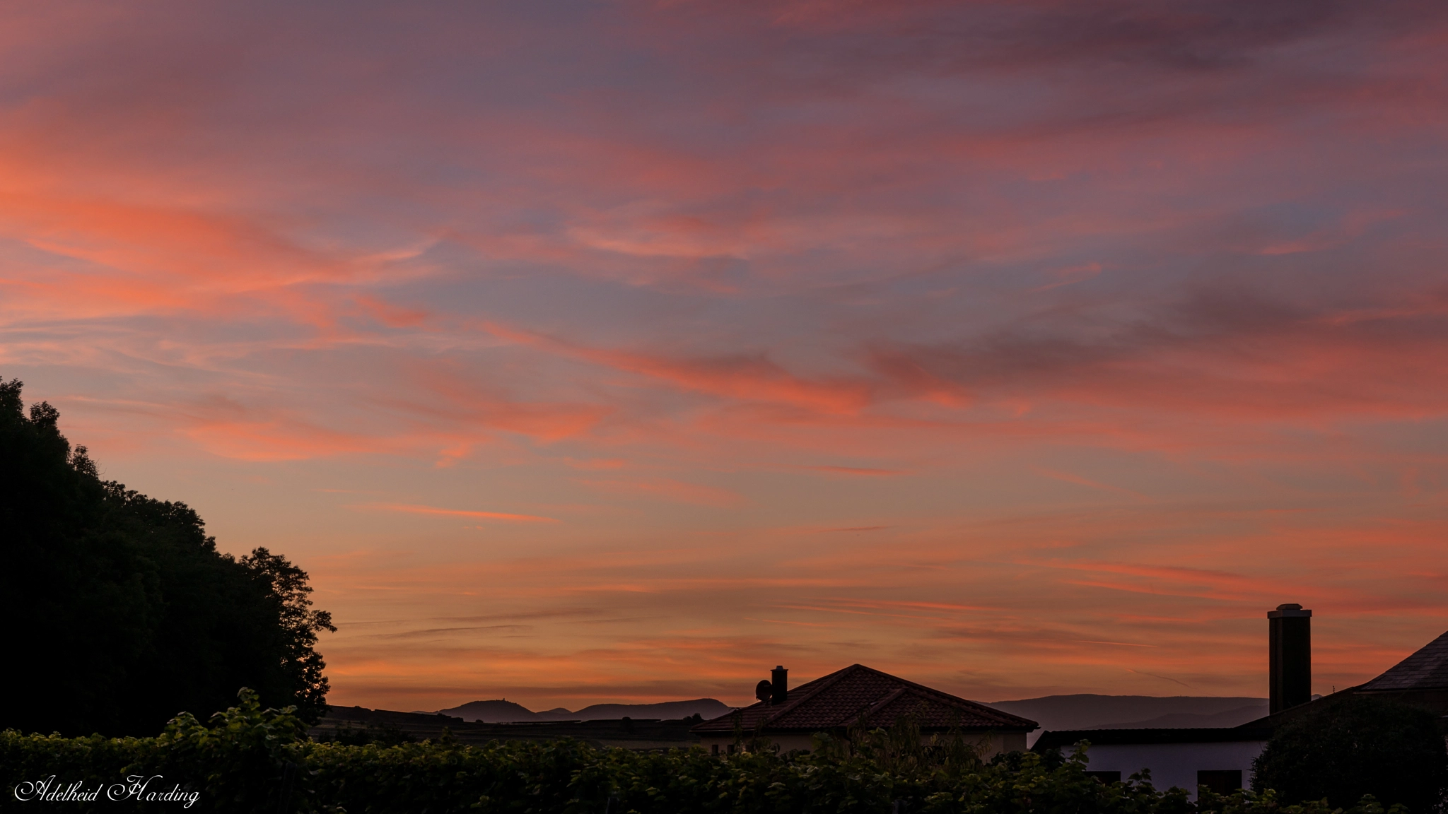 Panasonic Lumix DMC-GX85 (Lumix DMC-GX80 / Lumix DMC-GX7 Mark II) sample photo. Sunset over the vines photography