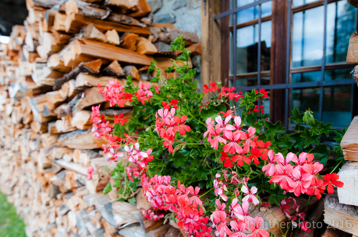 Tamron SP 15-30mm F2.8 Di VC USD sample photo. Genügend holz vor der hütte? photography