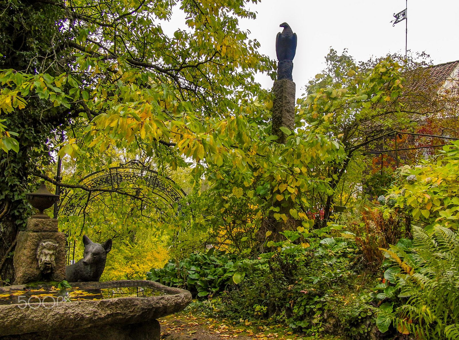 CASIO EX-F1 sample photo. A garden full of mystery photography