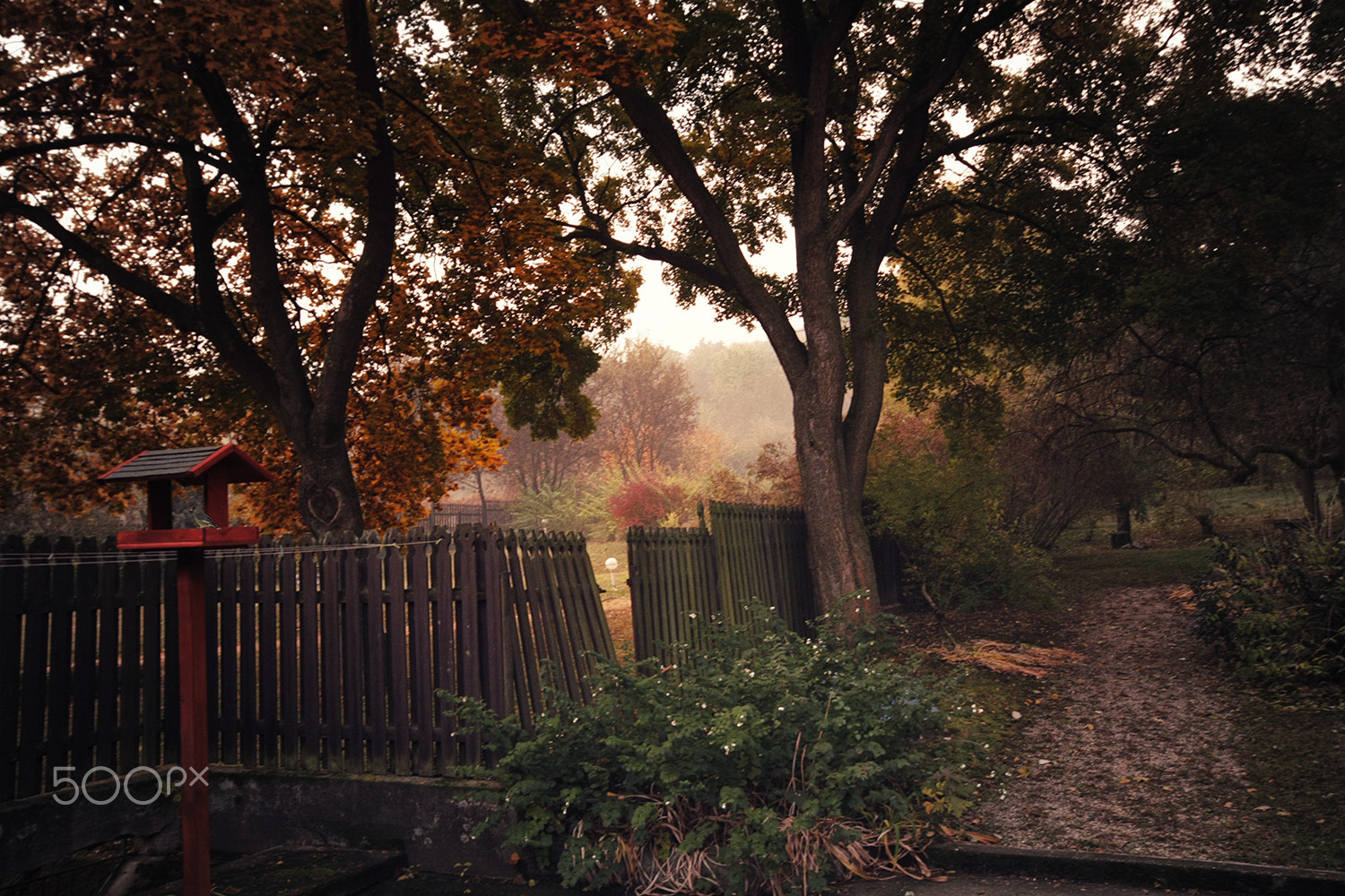 Canon EOS 40D + Sigma 10-20mm F4-5.6 EX DC HSM sample photo. Secret garden ii. photography