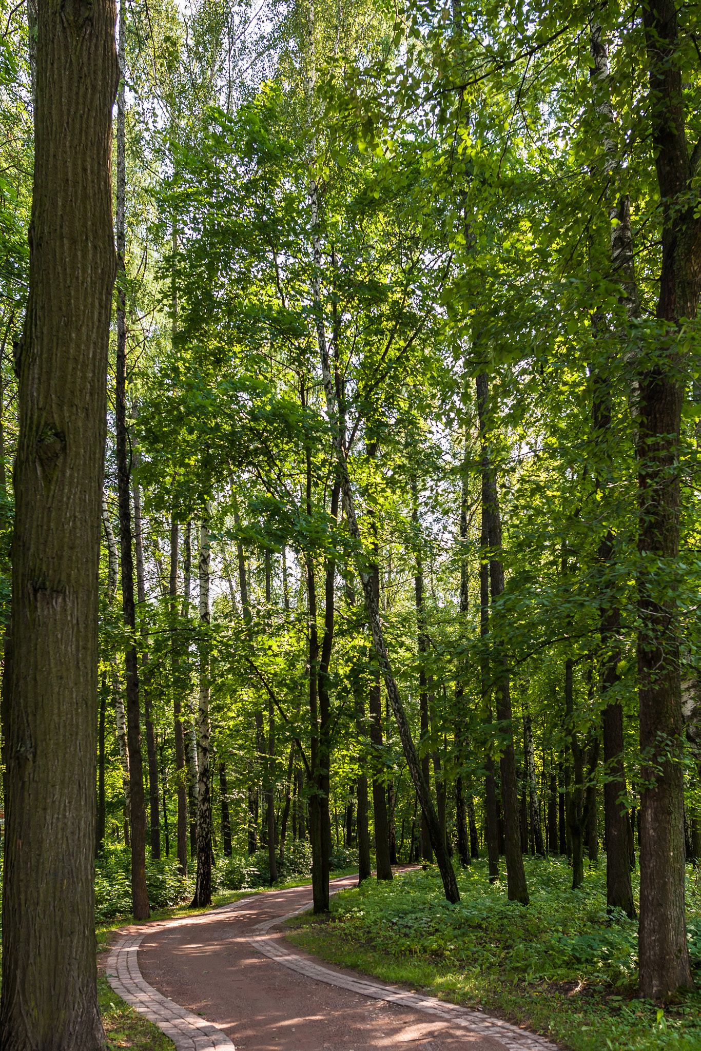 Sigma 24mm F1.4 DG HSM Art sample photo. Tsaritsyno_park photography