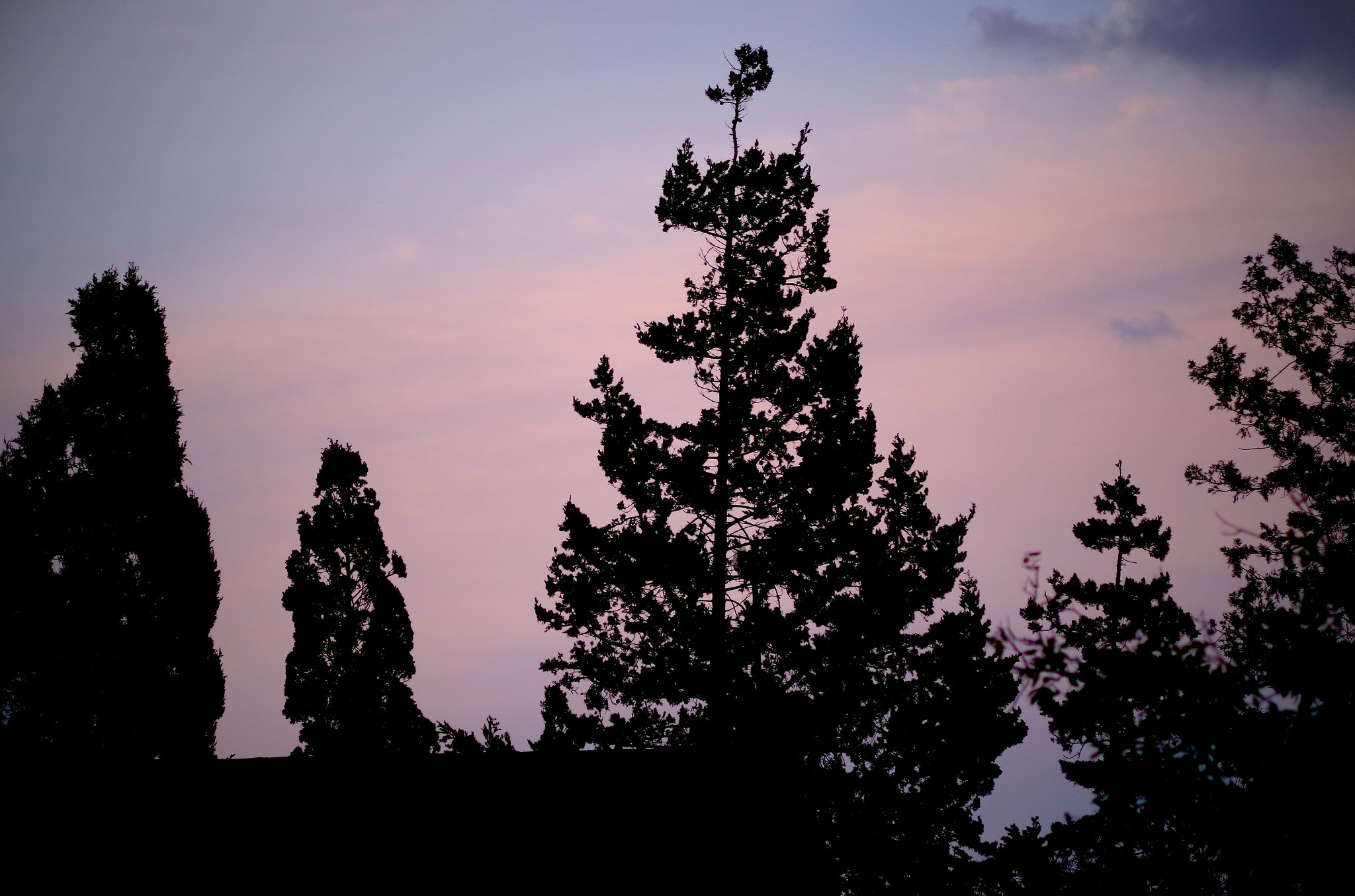 Pentax K-30 + HD Pentax DA 70mm F2.4 AL Limited sample photo. The death of sky photography