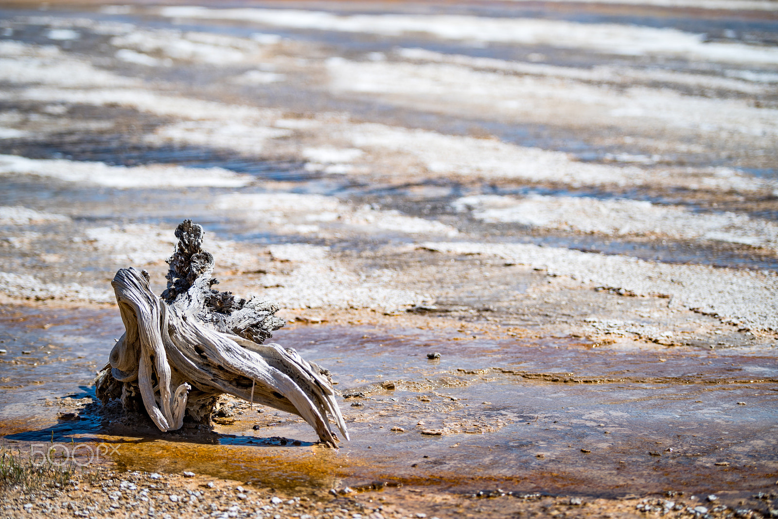 Pentax D FA* 70-200mm F2.8ED DC AW sample photo. Thermal death photography