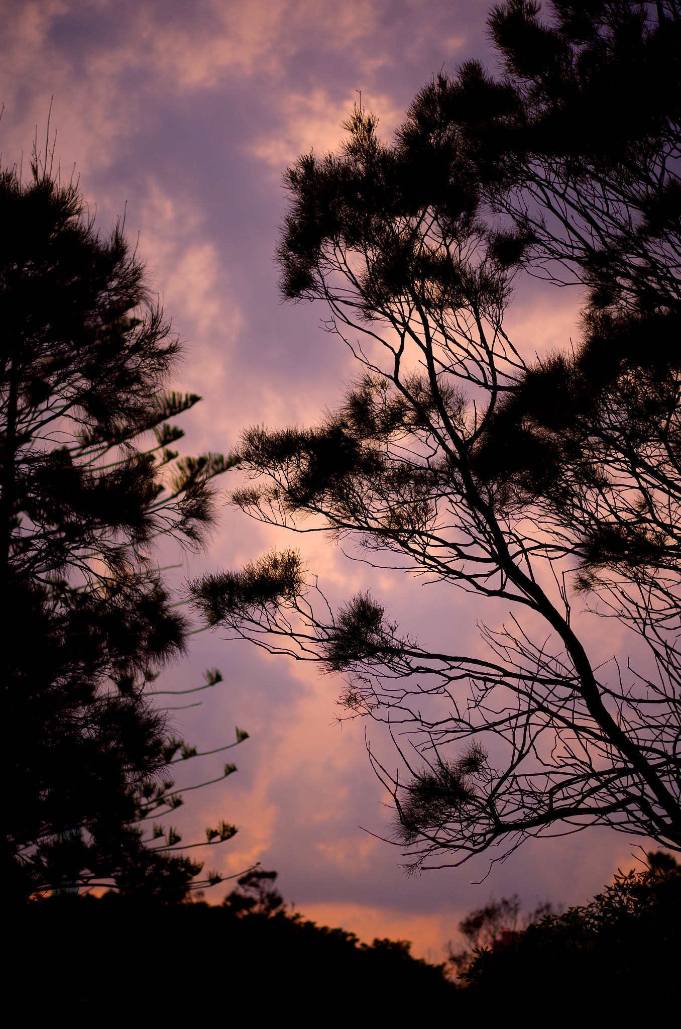 Pentax K-30 sample photo. The death of sky photography