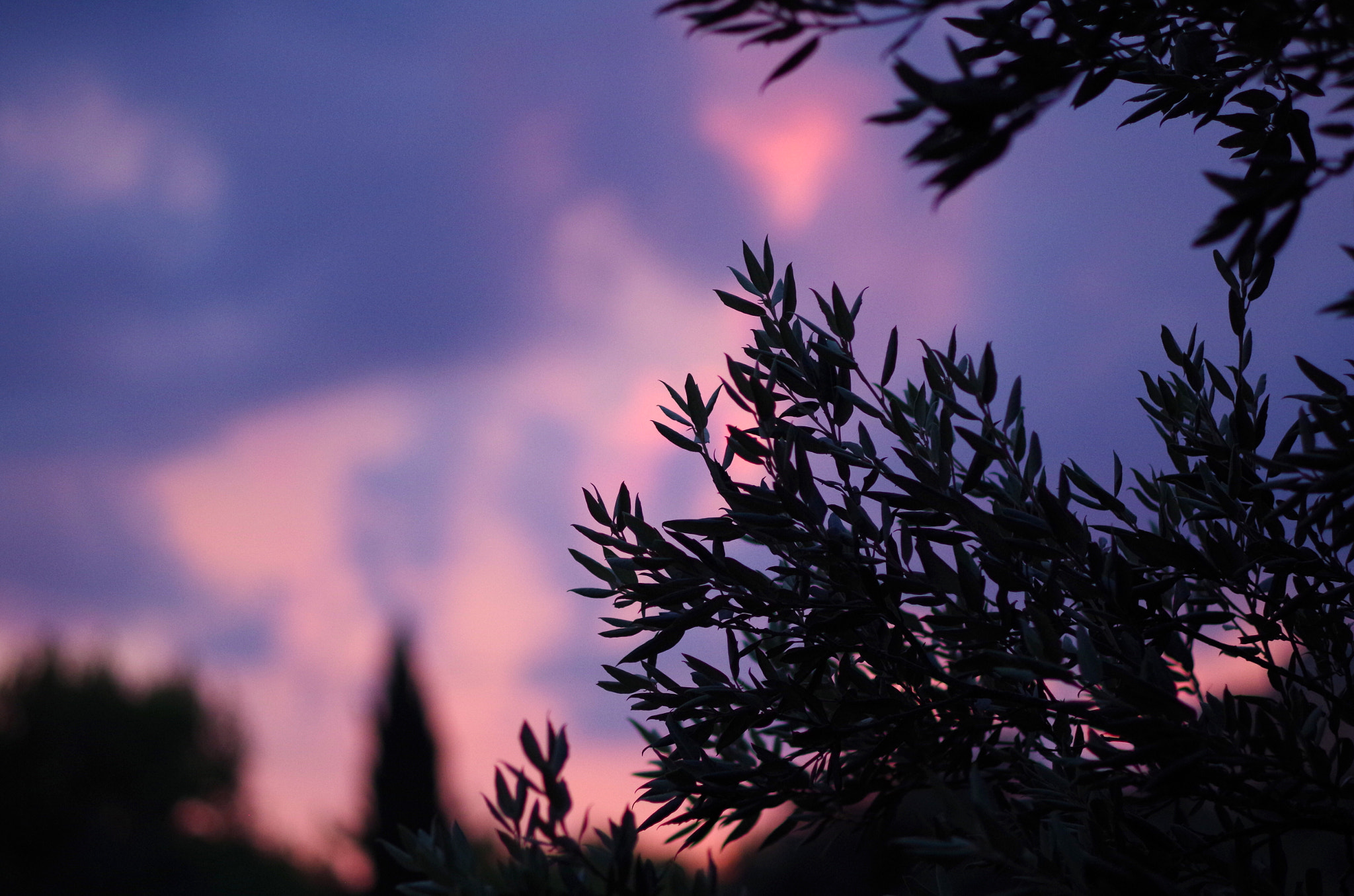 Pentax K-30 + HD Pentax DA 70mm F2.4 AL Limited sample photo. The death of sky photography