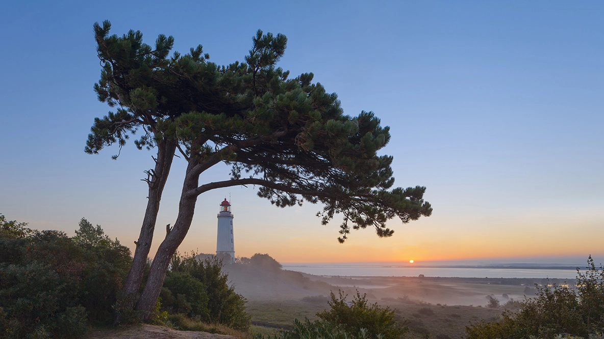 Canon EOS 5D Mark II + Canon TS-E 24.0mm f/3.5 L II sample photo. Magic sunrise hiddensee ... photography