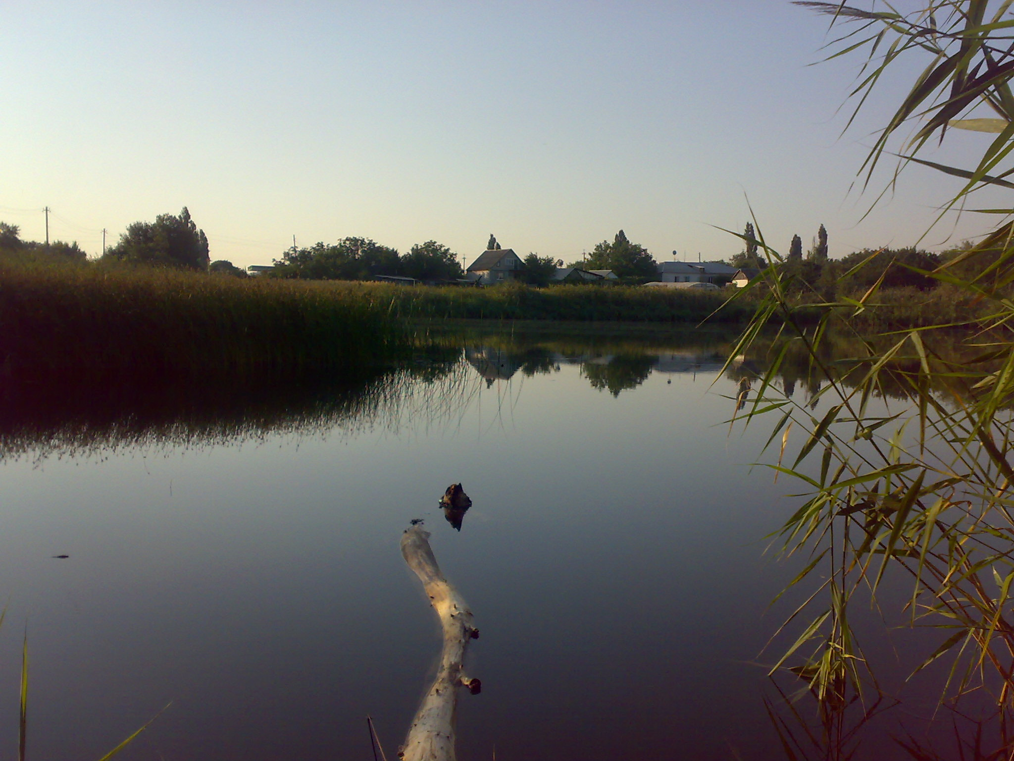 Nokia N73 sample photo. 15082014027.jpg photography