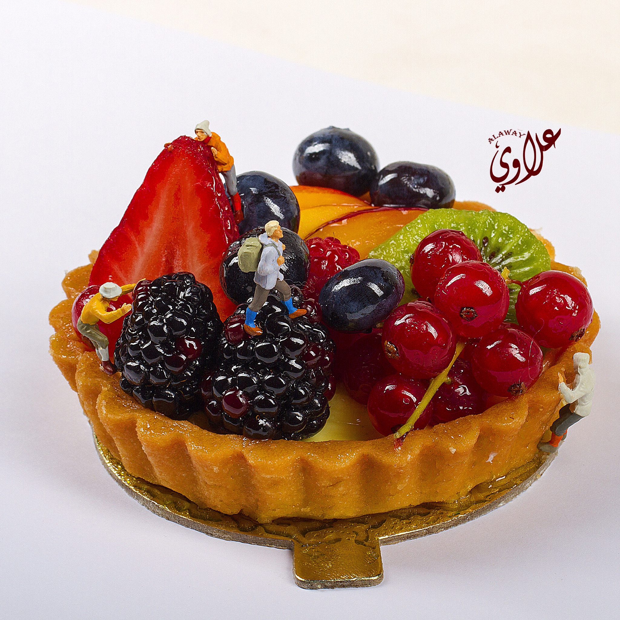 Canon EOS 7D + Canon EF 100mm F2.8L Macro IS USM sample photo