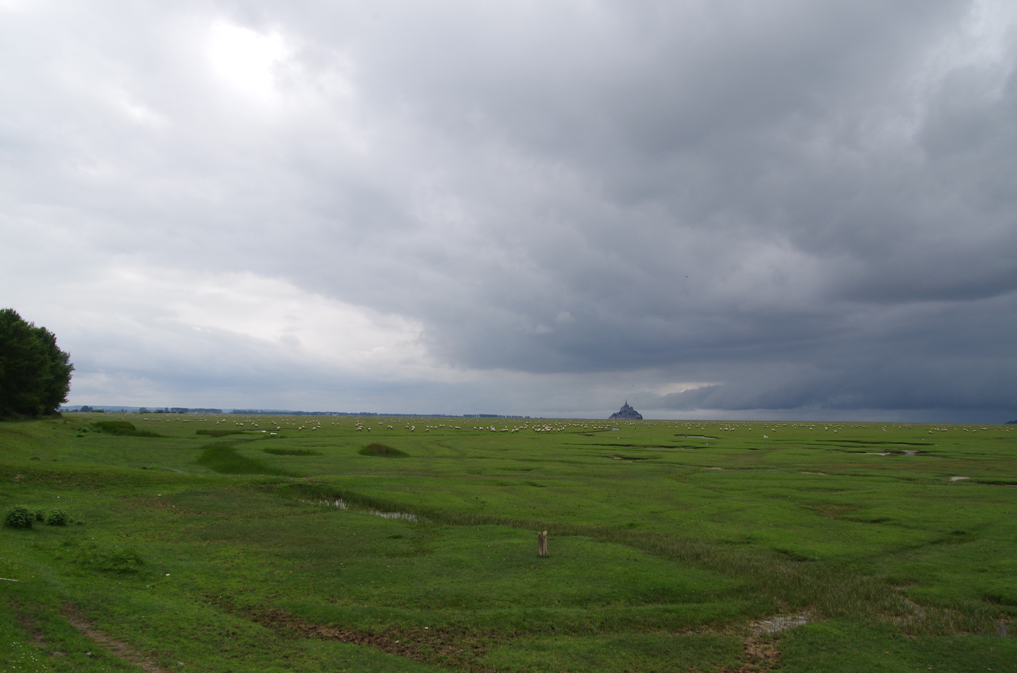 Pentax smc DA 18-270mm F3.5-6.3 ED SDM sample photo. Sea of sheep photography