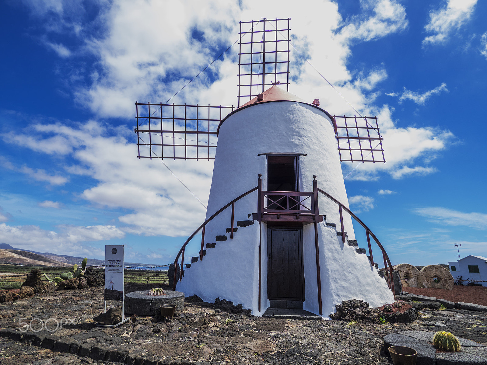 Olympus OM-D E-M1 + OLYMPUS M.9-18mm F4.0-5.6 sample photo. Cactus garden windmill photography