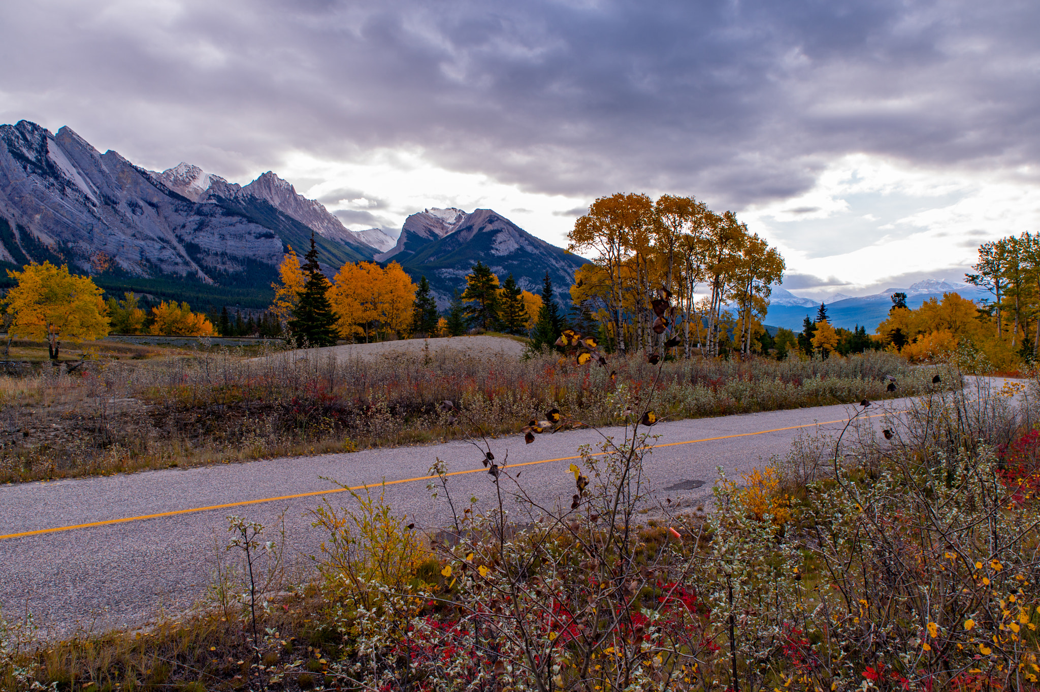 Nikon Df + Tamron SP 24-70mm F2.8 Di VC USD sample photo. Fall color in canadian rockies photography