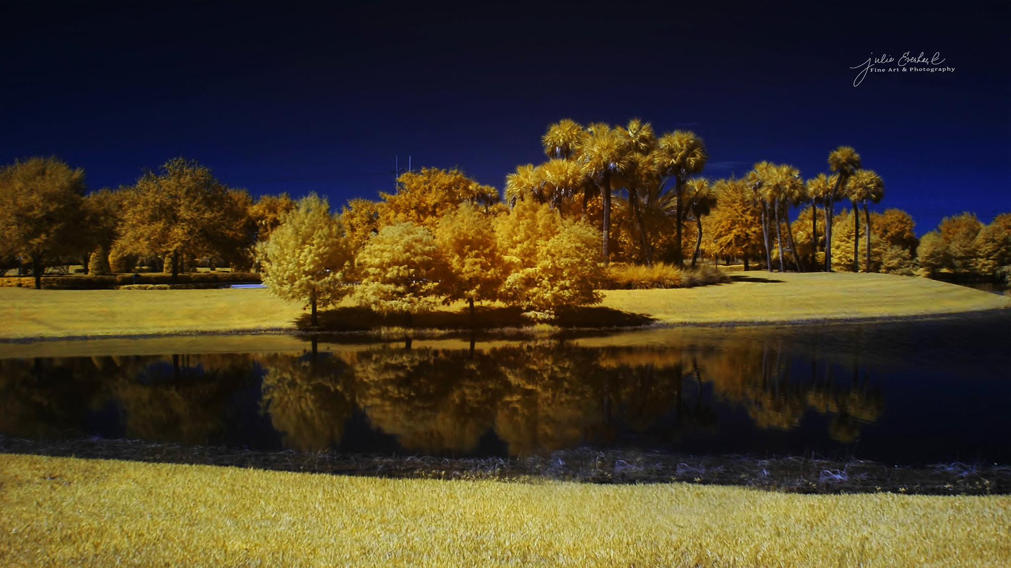 Nikon D70 sample photo. On golden pond photography