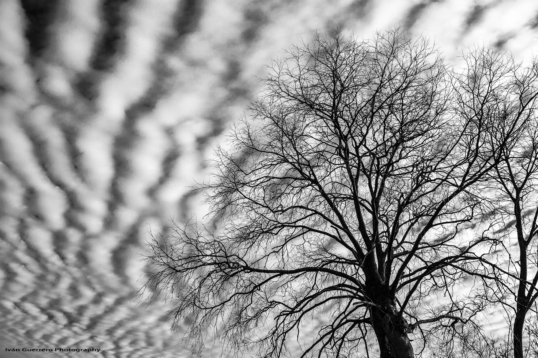 Canon EF-S 17-55mm F2.8 IS USM sample photo. Extraño cielo..no ? photography