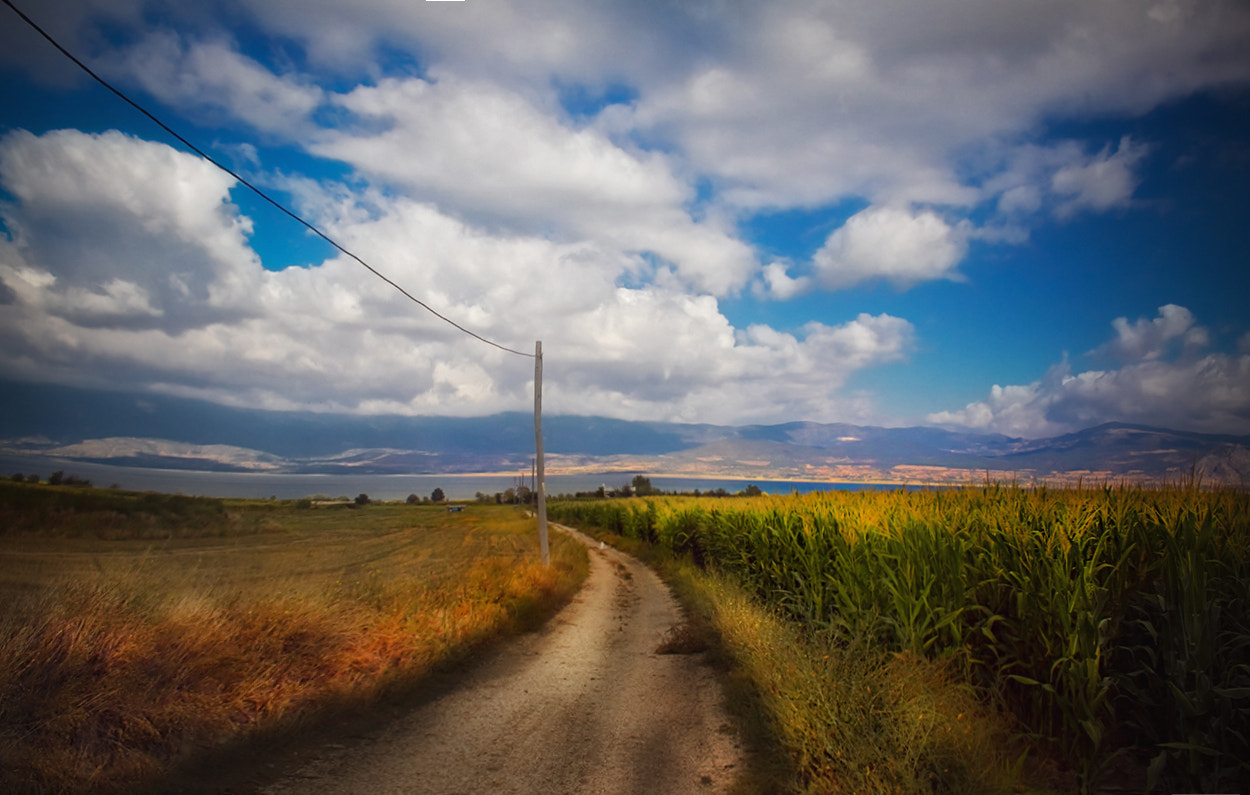 Canon EOS 50D sample photo. Road stories photography