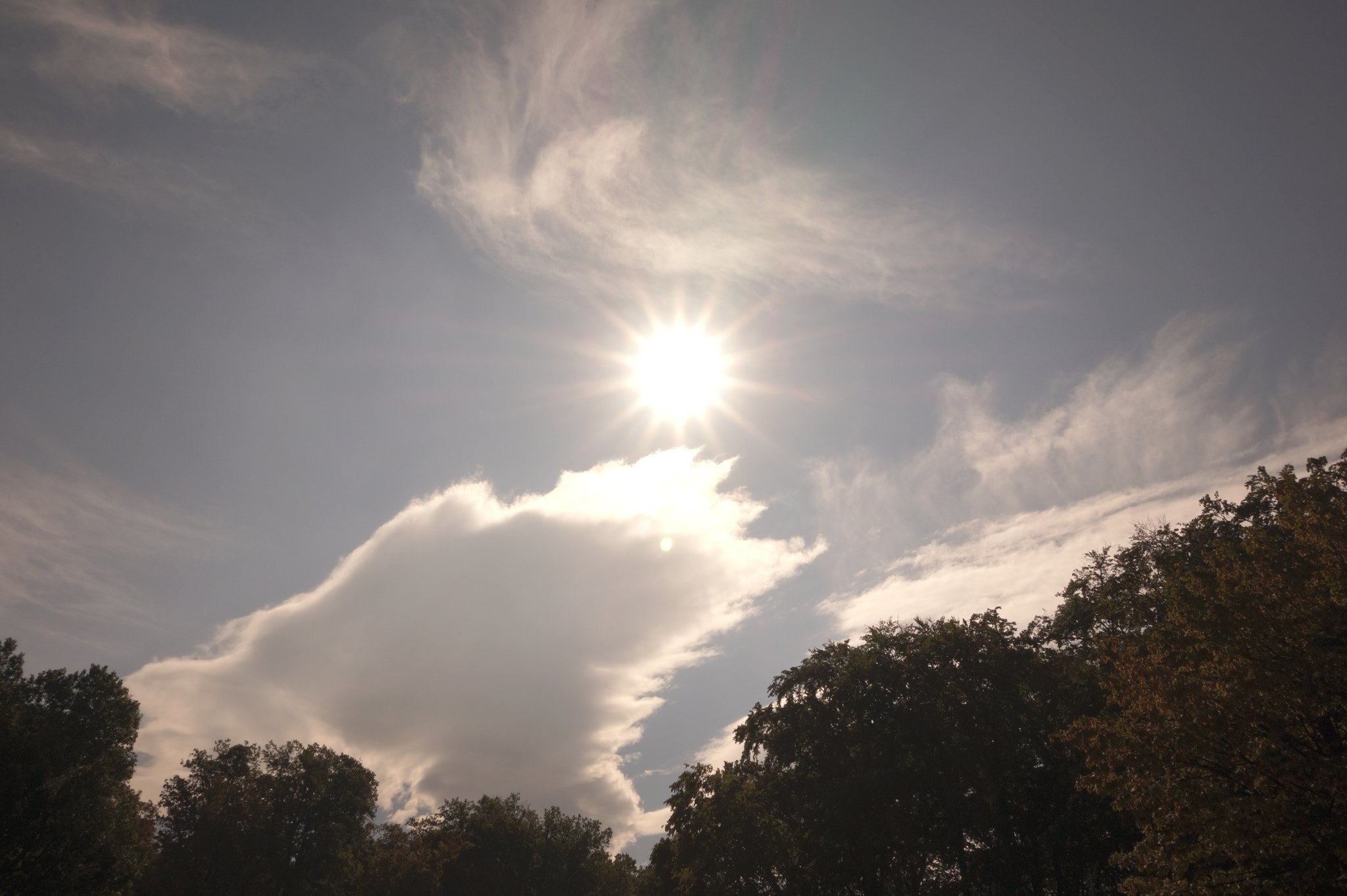 Sony E 16-50mm F3.5-5.6 PZ OSS sample photo. Perfect sun photography