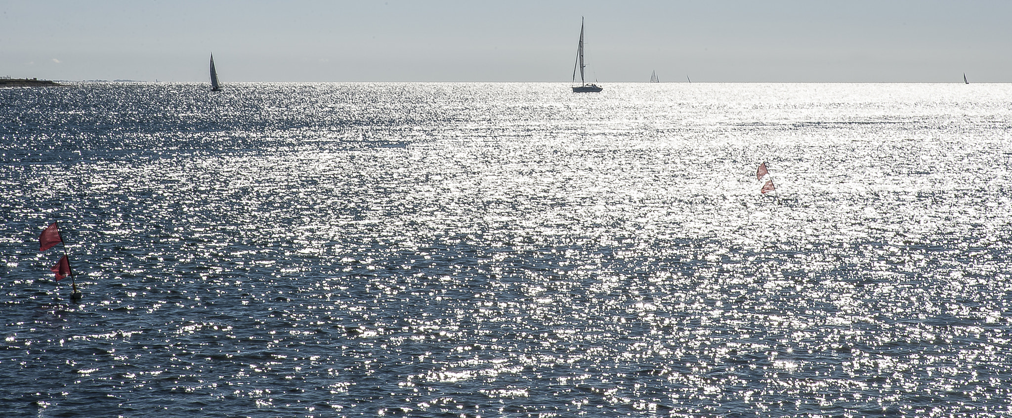 Nikon D3 sample photo. Against the light photography