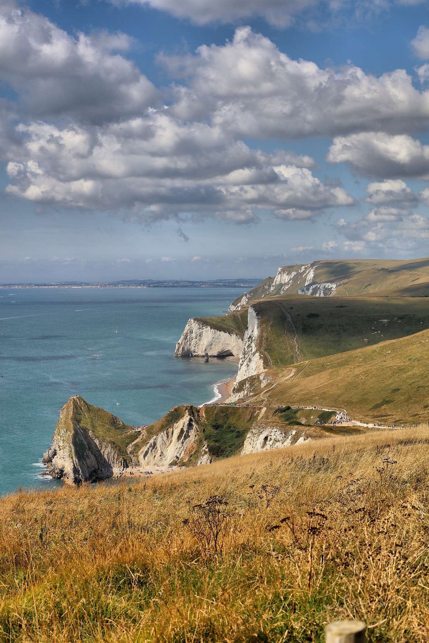 Canon EOS 5DS R + Canon EF 70-300mm F4-5.6L IS USM sample photo. Dorset photography