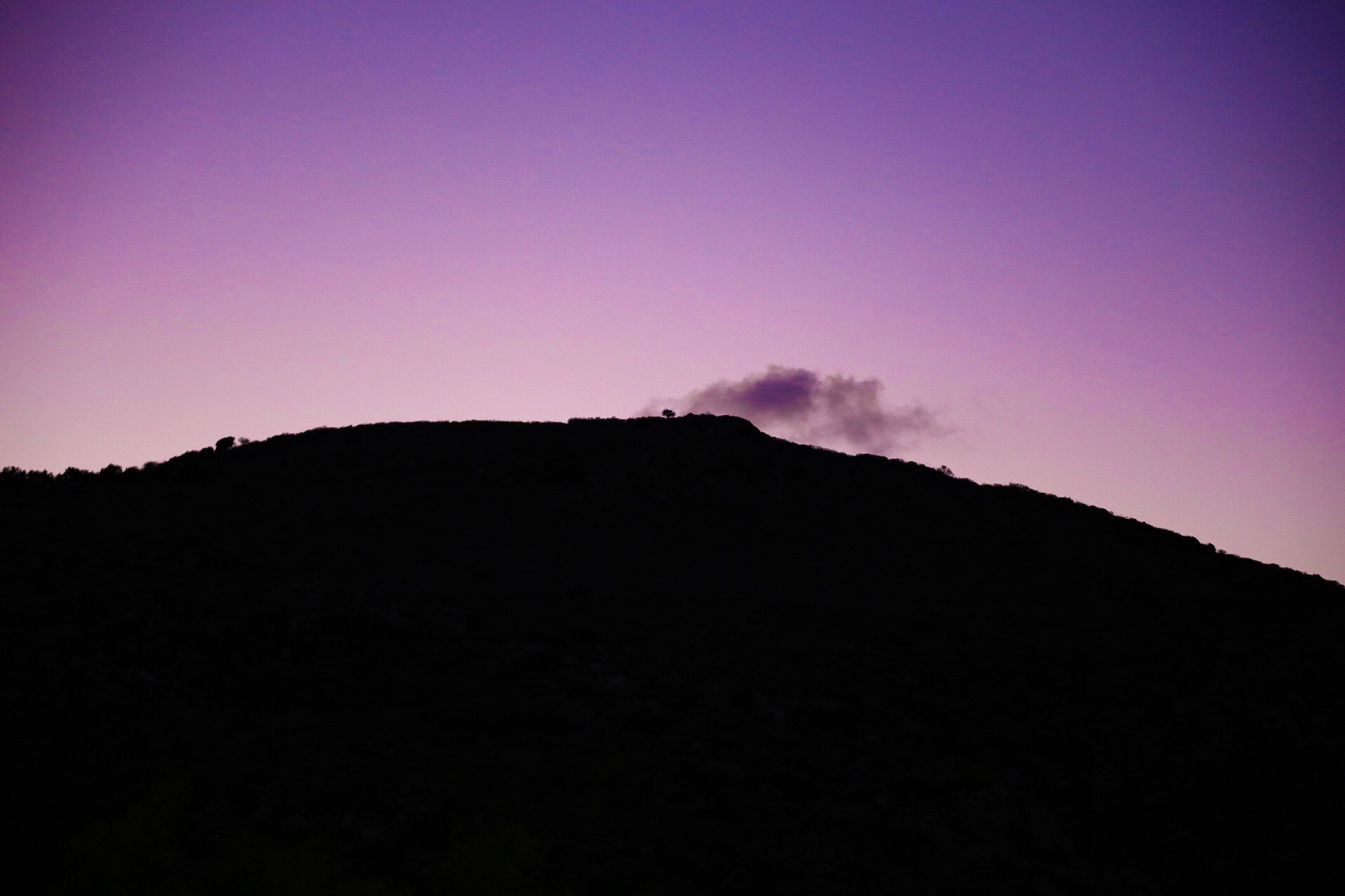Canon EOS 6D + Canon 70-300mm sample photo. Lonesome tree photography