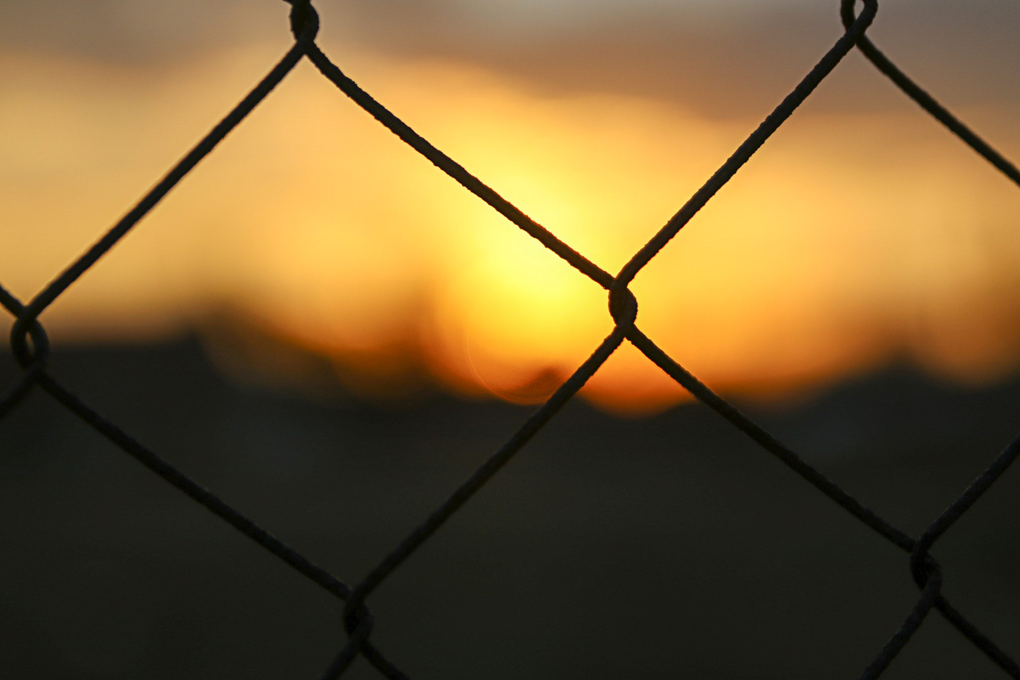 Canon EOS 80D + Sigma 24-70mm F2.8 EX DG Macro sample photo. Sunset and wire photography