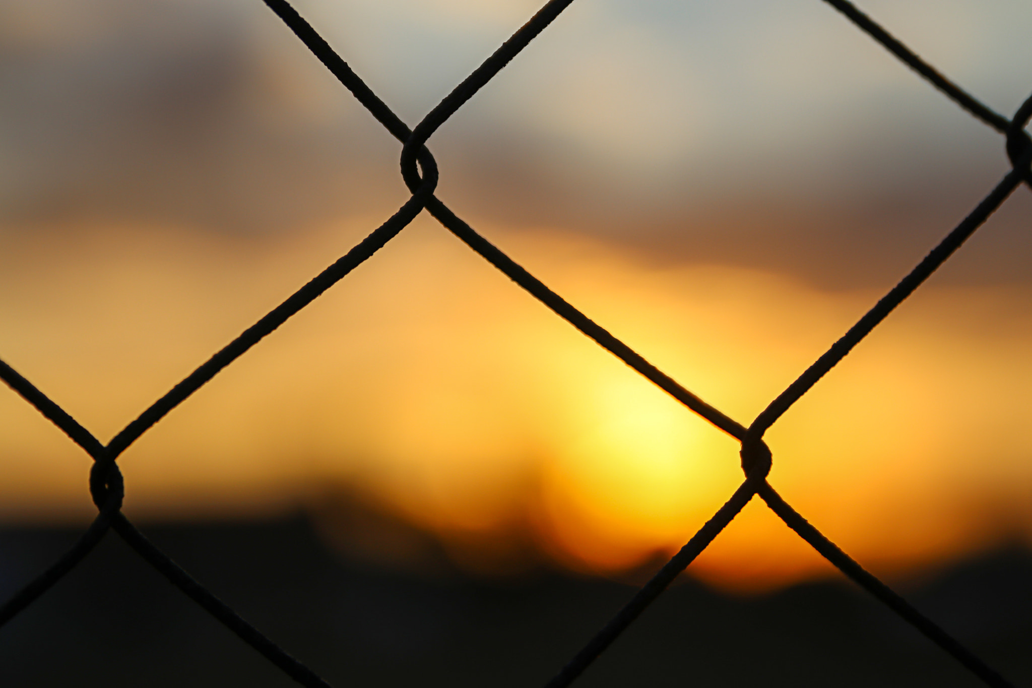 Canon EOS 80D + Sigma 24-70mm F2.8 EX DG Macro sample photo. Sunset and wire photography