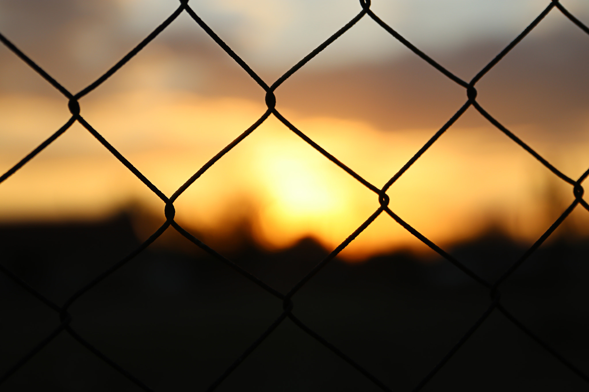 Canon EOS 80D + Sigma 24-70mm F2.8 EX DG Macro sample photo. Sunset and wire photography