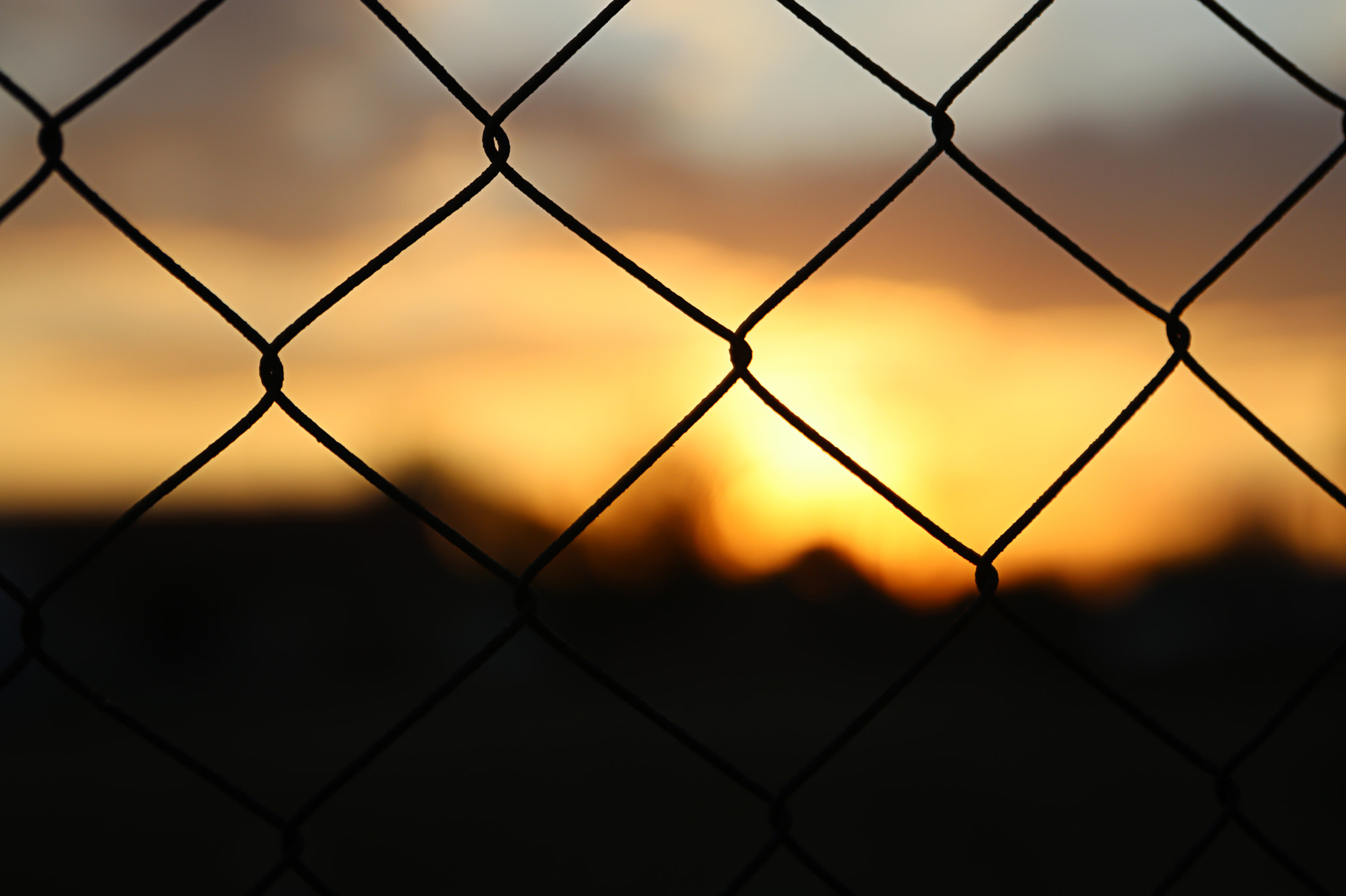 Canon EOS 80D + Sigma 24-70mm F2.8 EX DG Macro sample photo. Sunset and wire photography