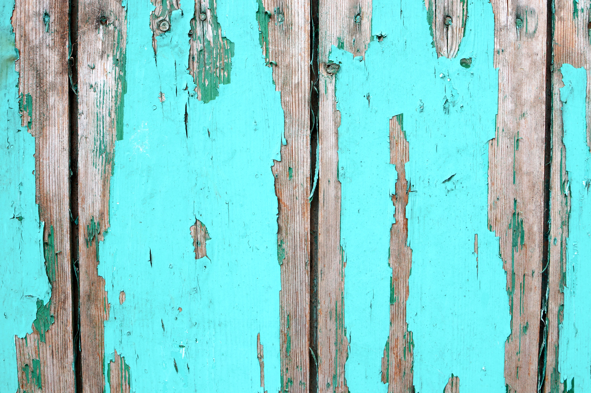 Canon EOS 80D + Sigma 24-70mm F2.8 EX DG Macro sample photo. Old door photography