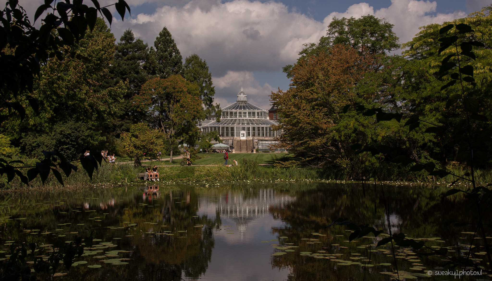 Sigma 17-70mm F2.8-4 DC Macro OS HSM sample photo. Botanical garden photography