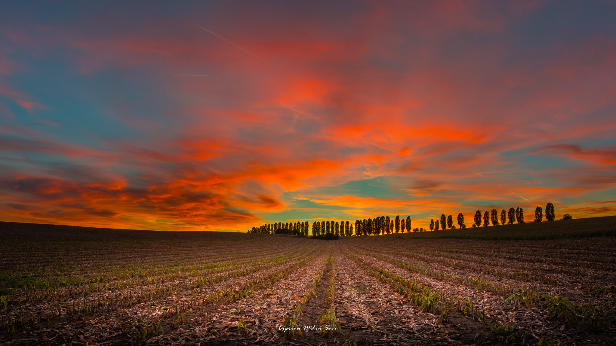 Tamron SP 15-30mm F2.8 Di VC USD sample photo. Sunset therapy photography