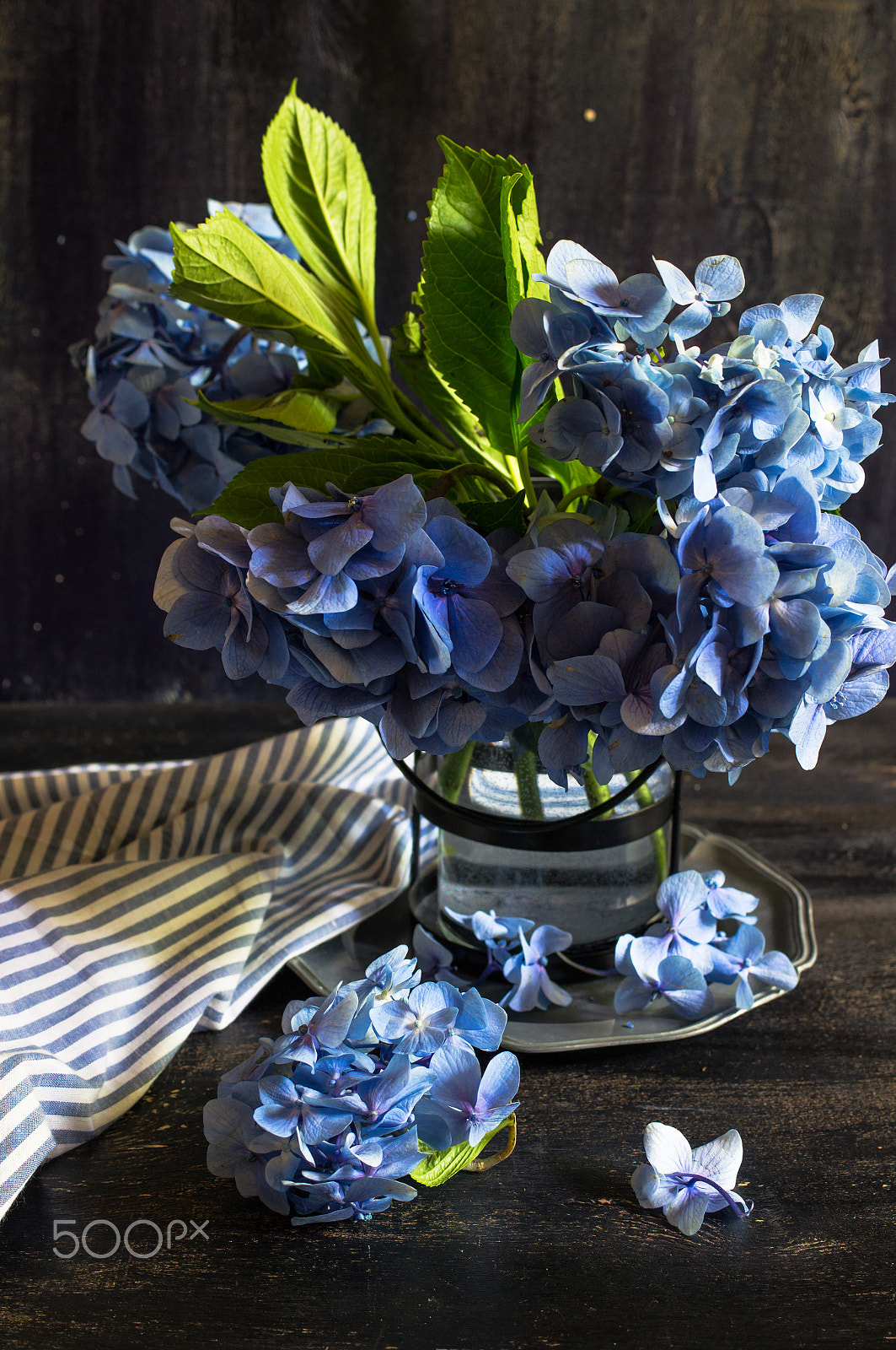 Sony SLT-A55 (SLT-A55V) sample photo. Hydrangea flowers and table setting photography