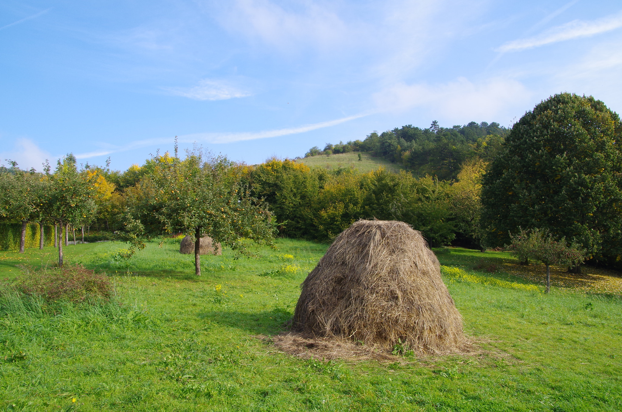 Pentax K-30 sample photo. Countryside photography