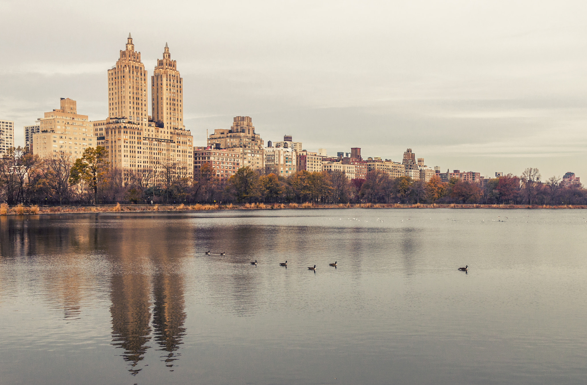 Nikon D5000 + Nikon AF-S DX Nikkor 16-85mm F3.5-5.6G ED VR sample photo. Otoño en nueva york photography