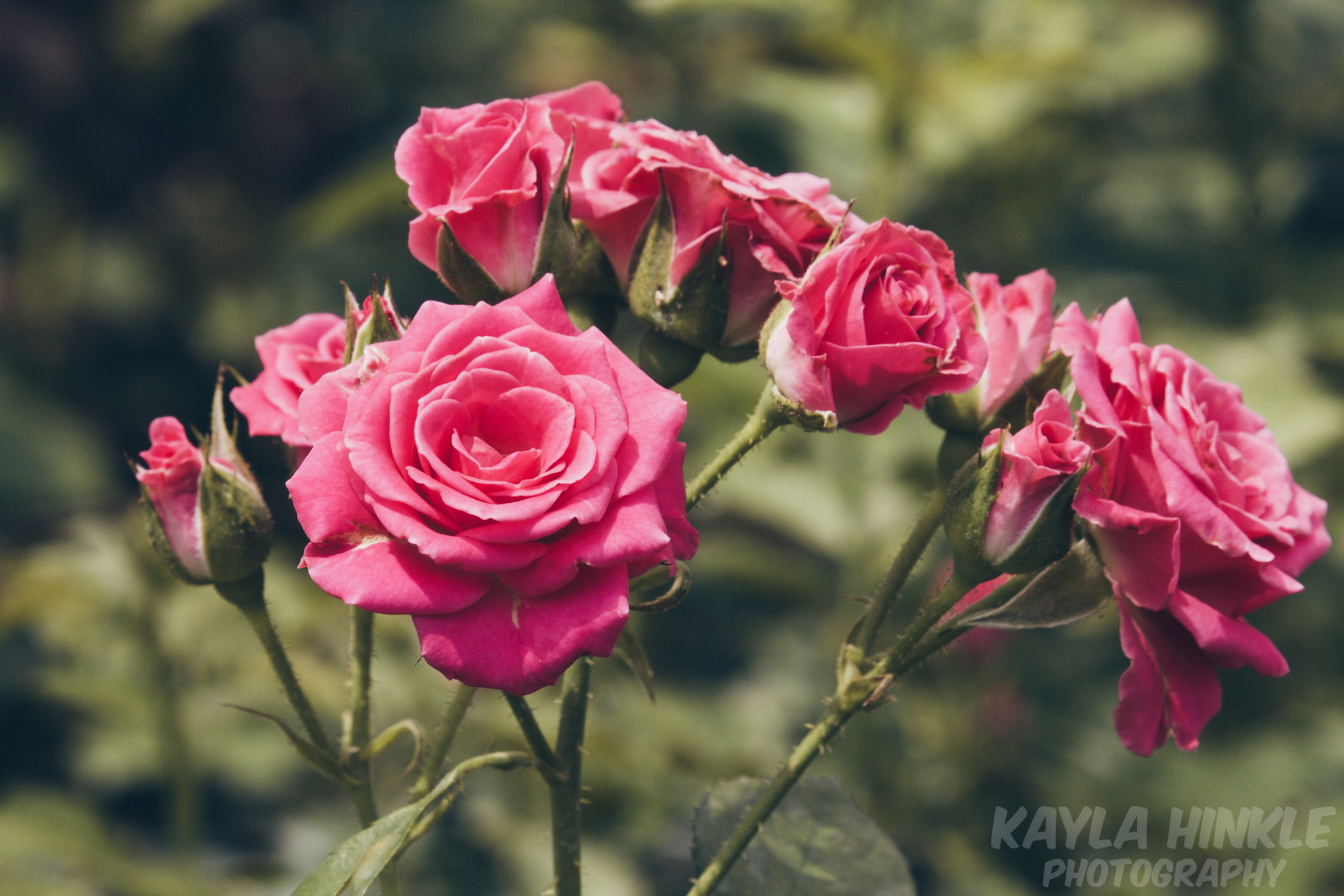 Canon EF-S 55-250mm F4-5.6 IS STM sample photo. The simple things photography