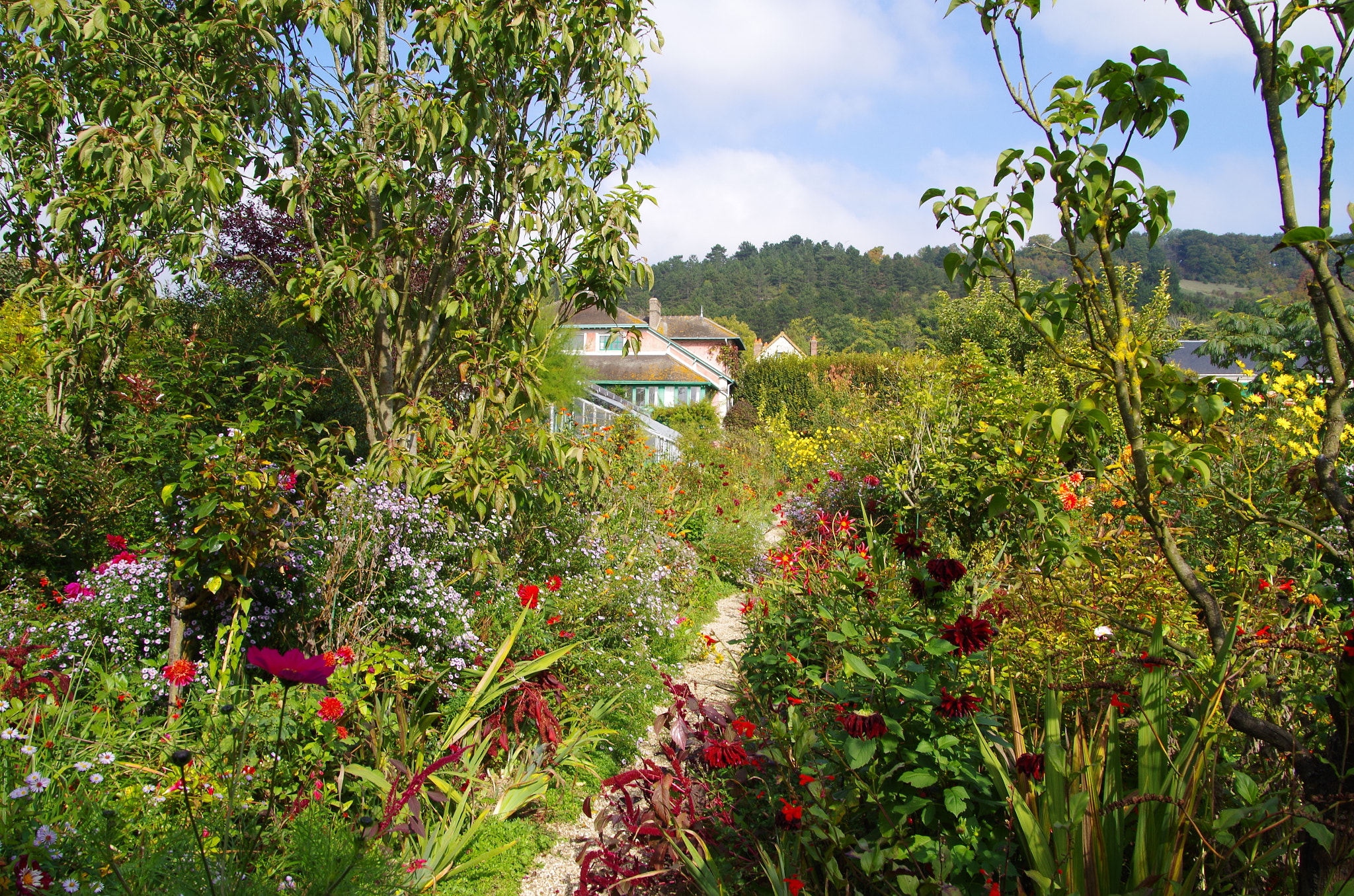 Pentax K-30 sample photo. Wild garden photography