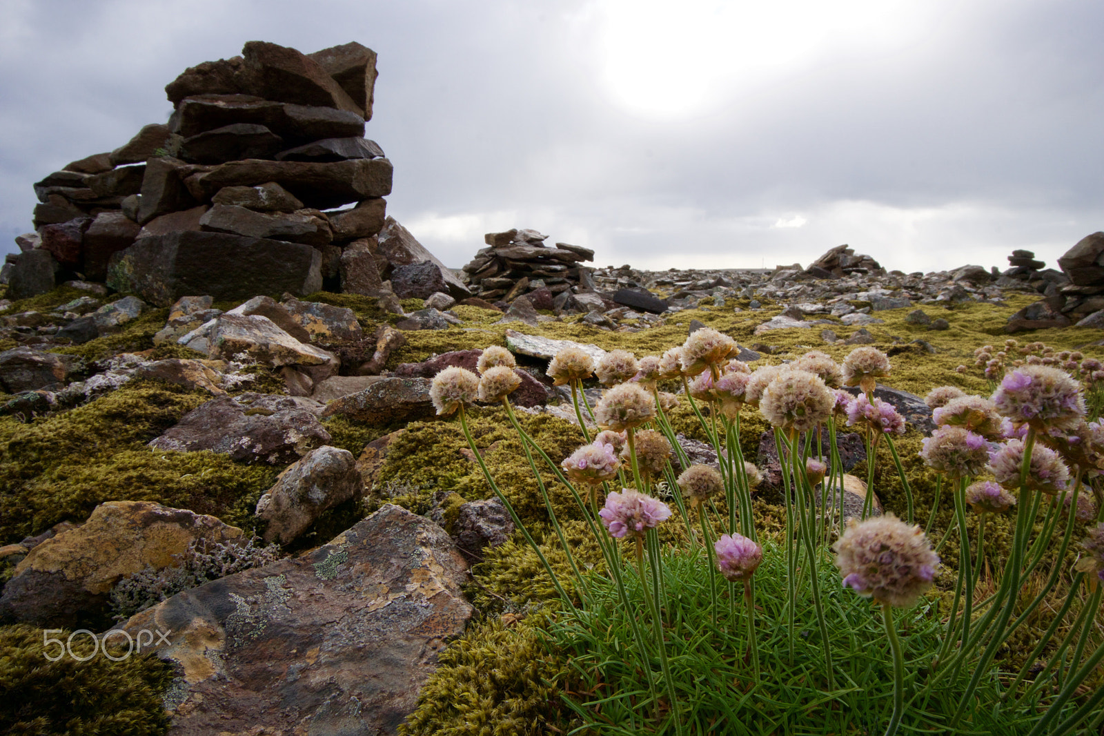 Sony a6000 + Sony E 10-18mm F4 OSS sample photo. Off the beaten path photography