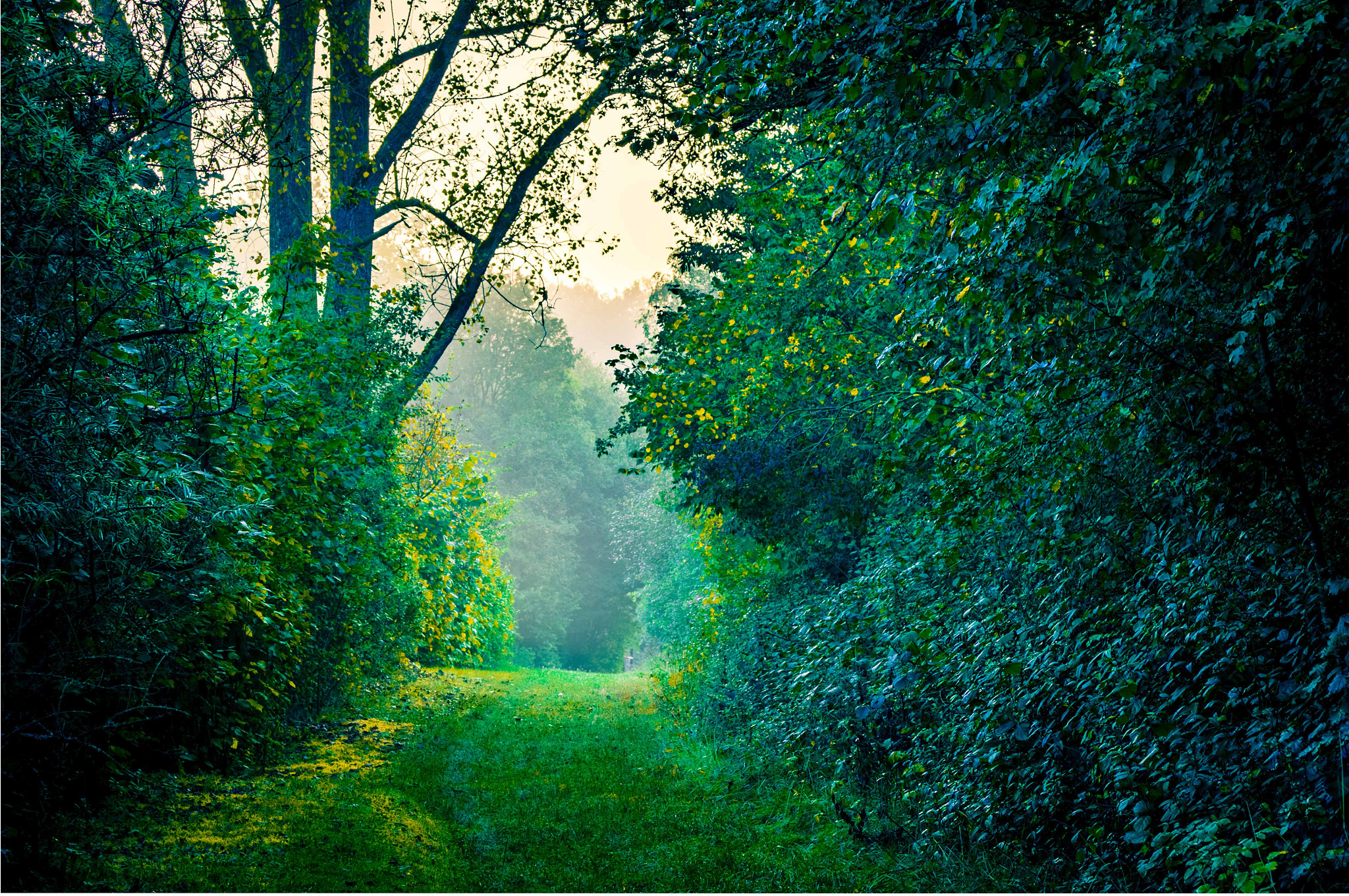 Sony DT 16-105mm F3.5-5.6 sample photo. Towards the rising sun photography