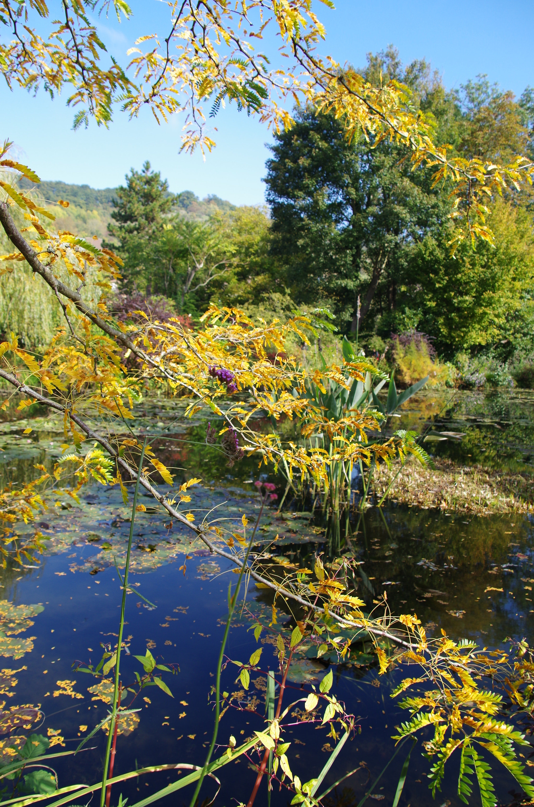 Pentax K-30 + Pentax smc DA 18-270mm F3.5-6.3 ED SDM sample photo. Colorful nature photography