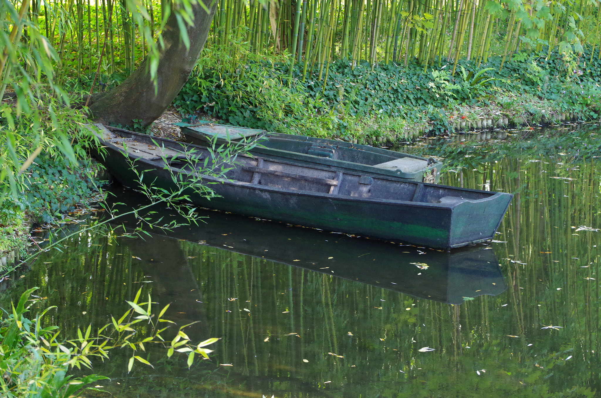 Pentax smc DA 18-270mm F3.5-6.3 ED SDM sample photo. Waiting for the fisherman photography