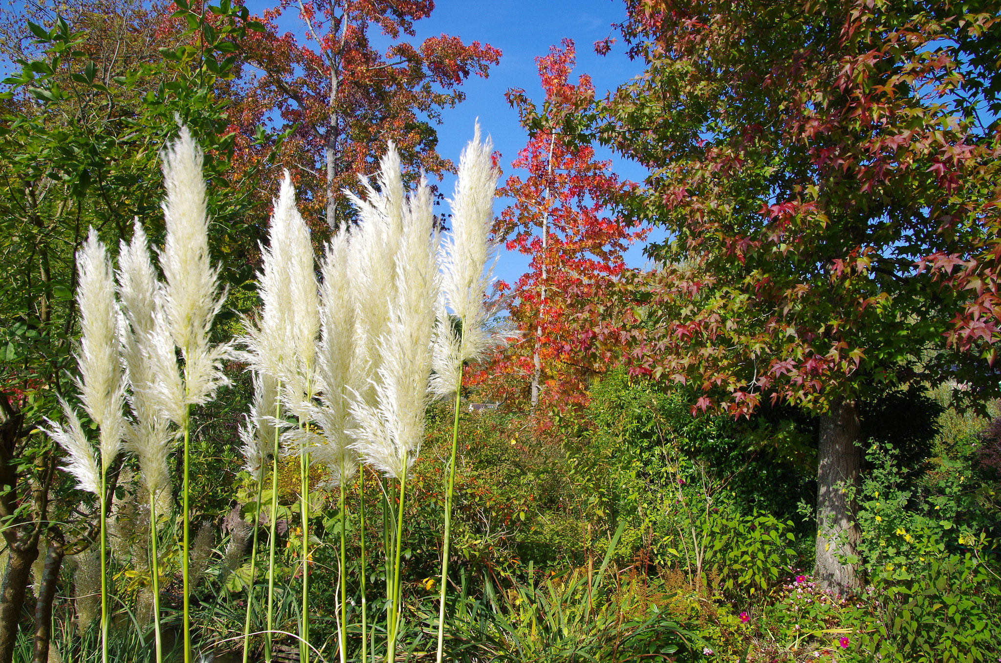 Pentax K-30 sample photo. Multitude of colors photography