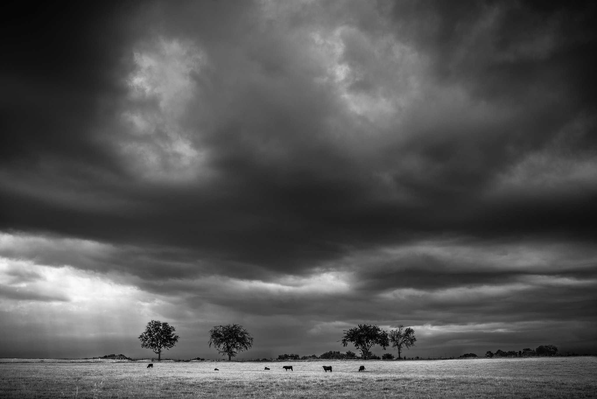Leica APO-Summicron-M 50mm F2 ASPH sample photo. Oklahoma fields. photography