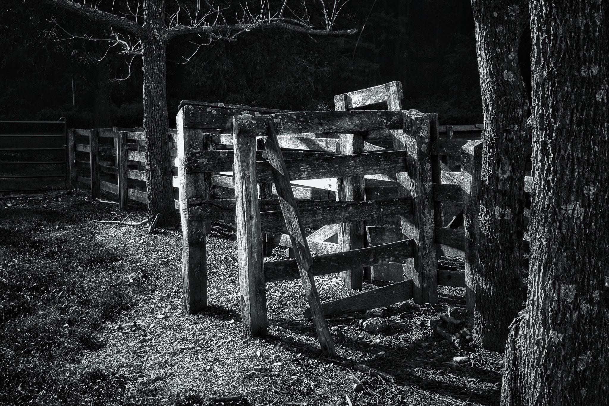 Canon EOS 1000D (EOS Digital Rebel XS / EOS Kiss F) + Tamron AF 28-200mm F3.8-5.6 XR Di Aspherical (IF) Macro sample photo. Old wooden fence and trees photography