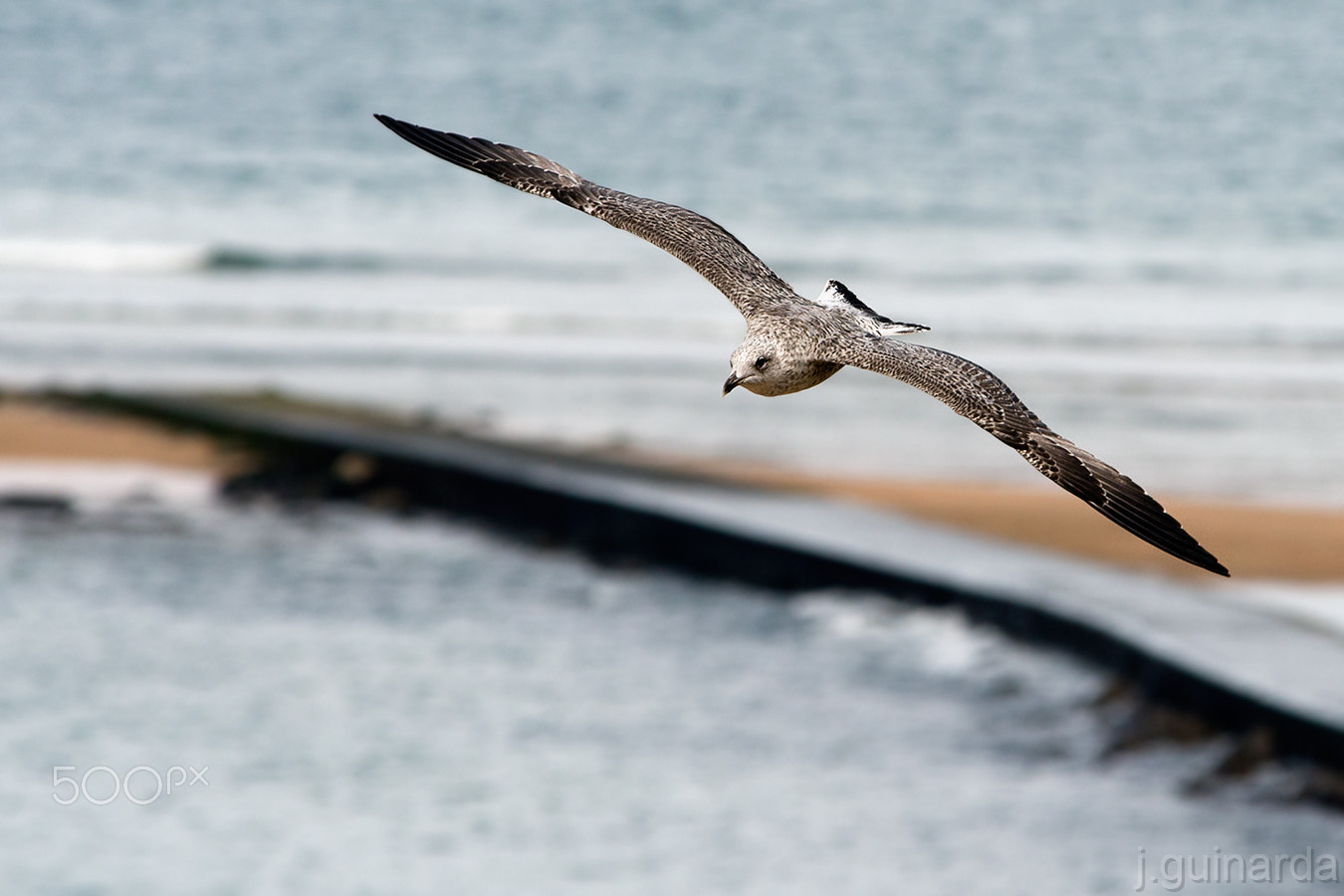 Pentax K-1 sample photo. Gavina photography