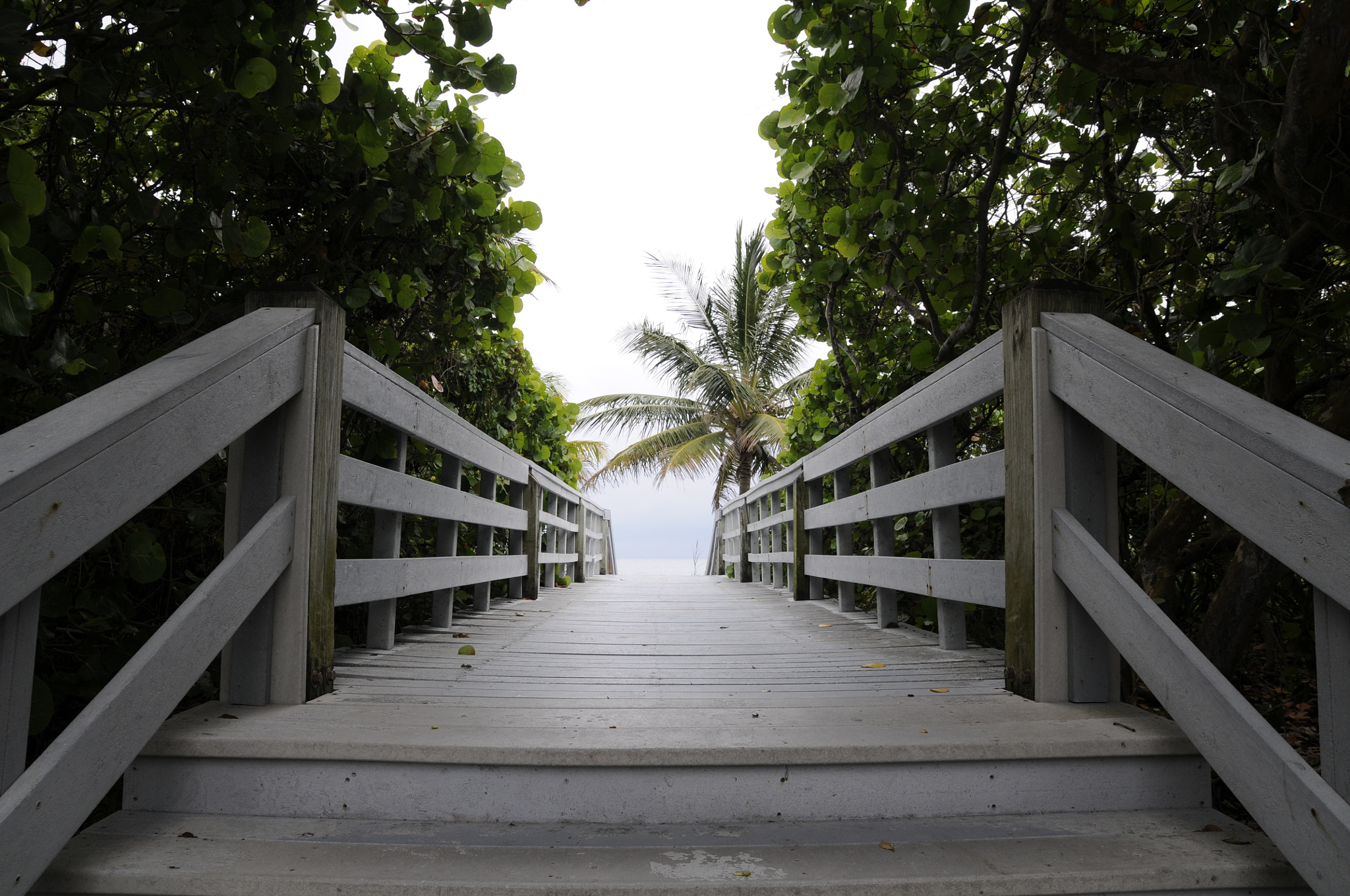 Nikon D300 sample photo. Let's go to the beach photography