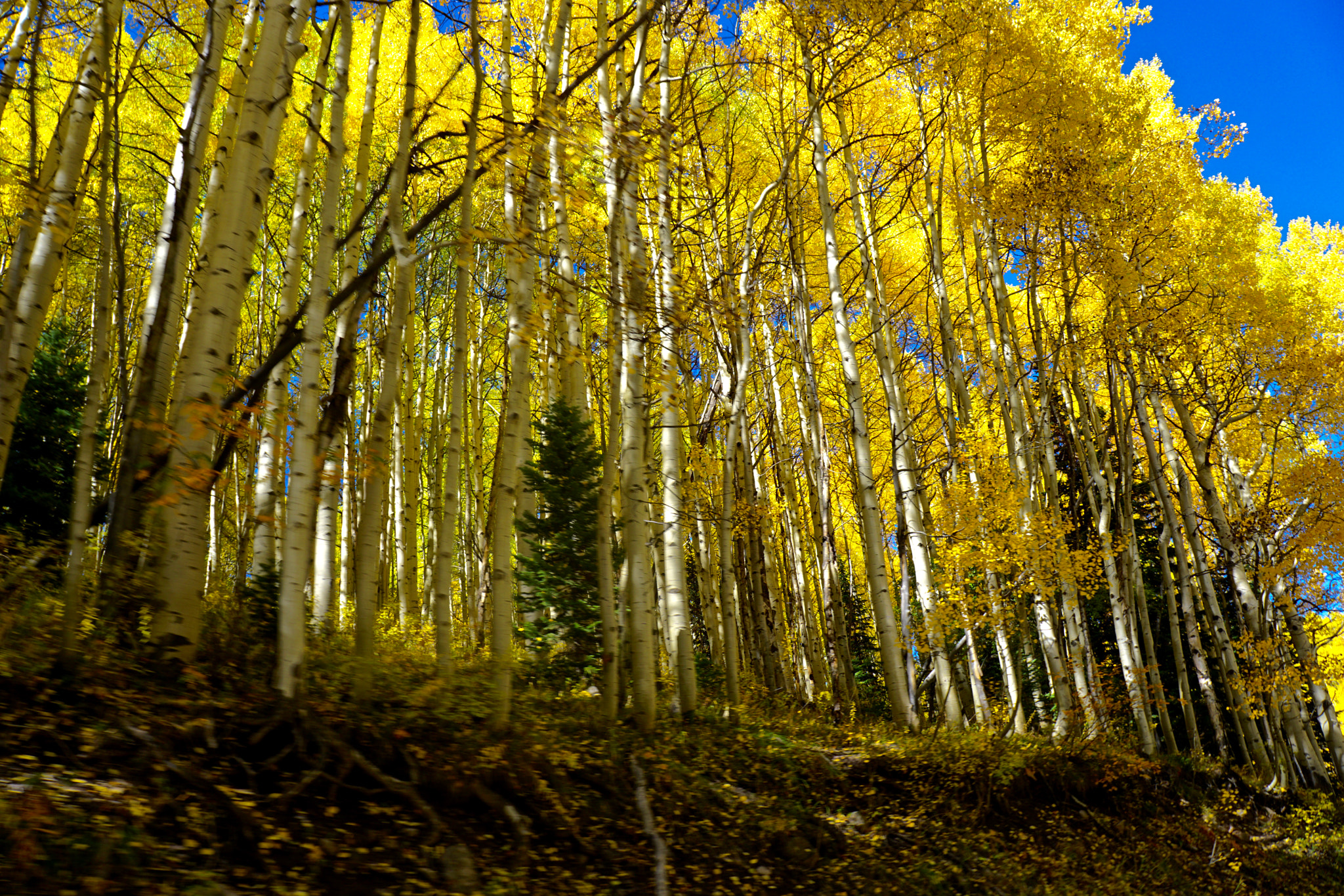 Tamron 18-200mm F3.5-6.3 Di III VC sample photo. Keller pass photography
