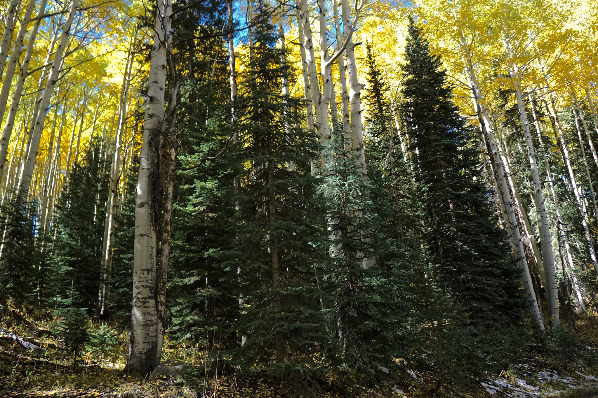 Tamron 18-200mm F3.5-6.3 Di III VC sample photo. Keller pass photography
