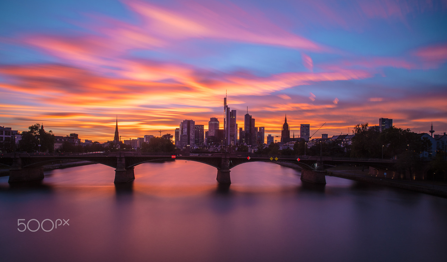 Nikon D750 + Nikon AF-S Nikkor 24mm F1.4G ED sample photo. Autumn 09/2016/ frankfurt am main photography