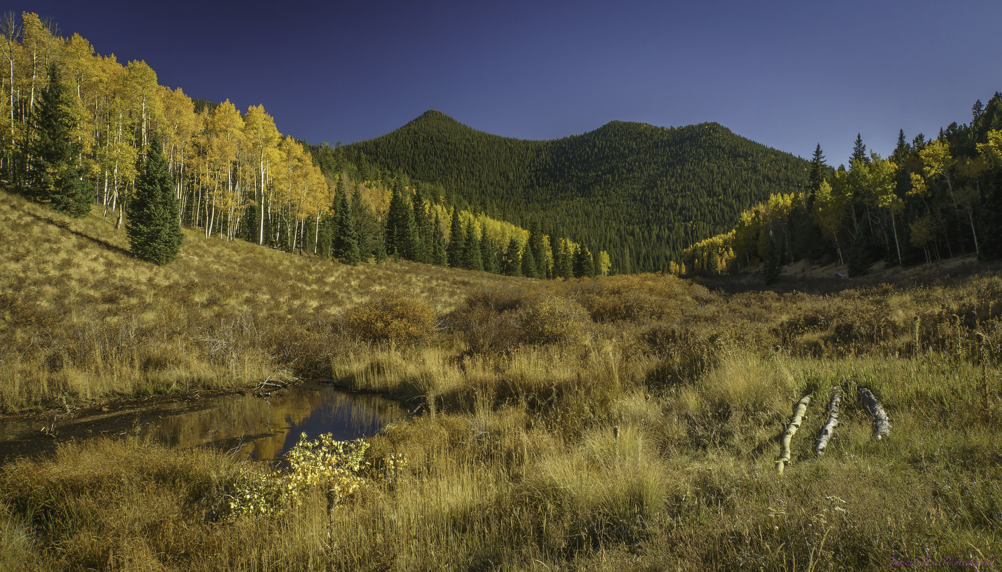 Sony E 18-200mm F3.5-6.3 OSS sample photo. Hiking in fall photography
