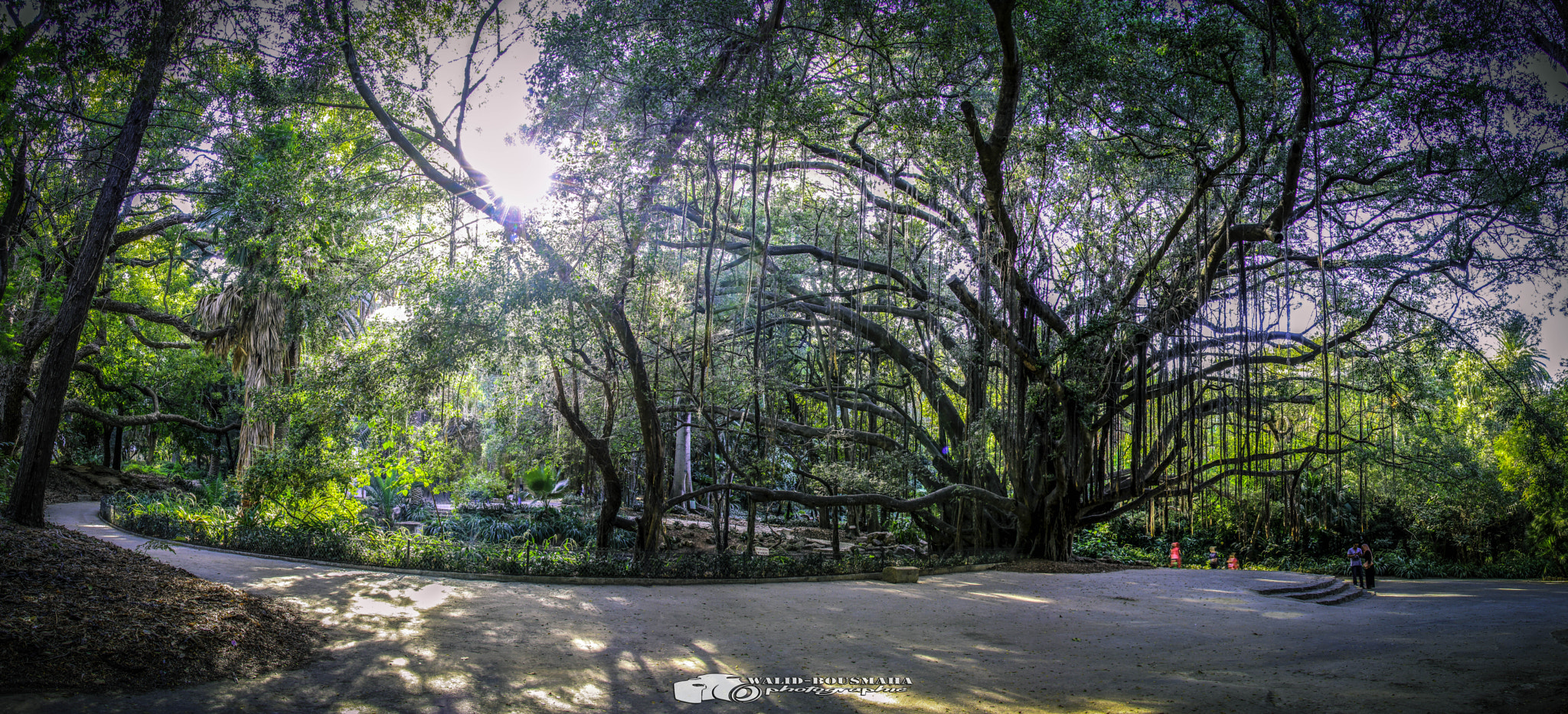 Canon EOS 600D (Rebel EOS T3i / EOS Kiss X5) sample photo. Panorama jardin d’essai photography