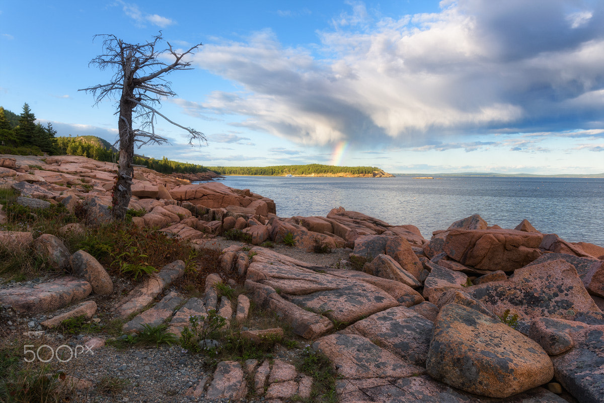 Nikon AF-S Nikkor 200-400mm F4G ED-IF VR sample photo. Acadia national park photography