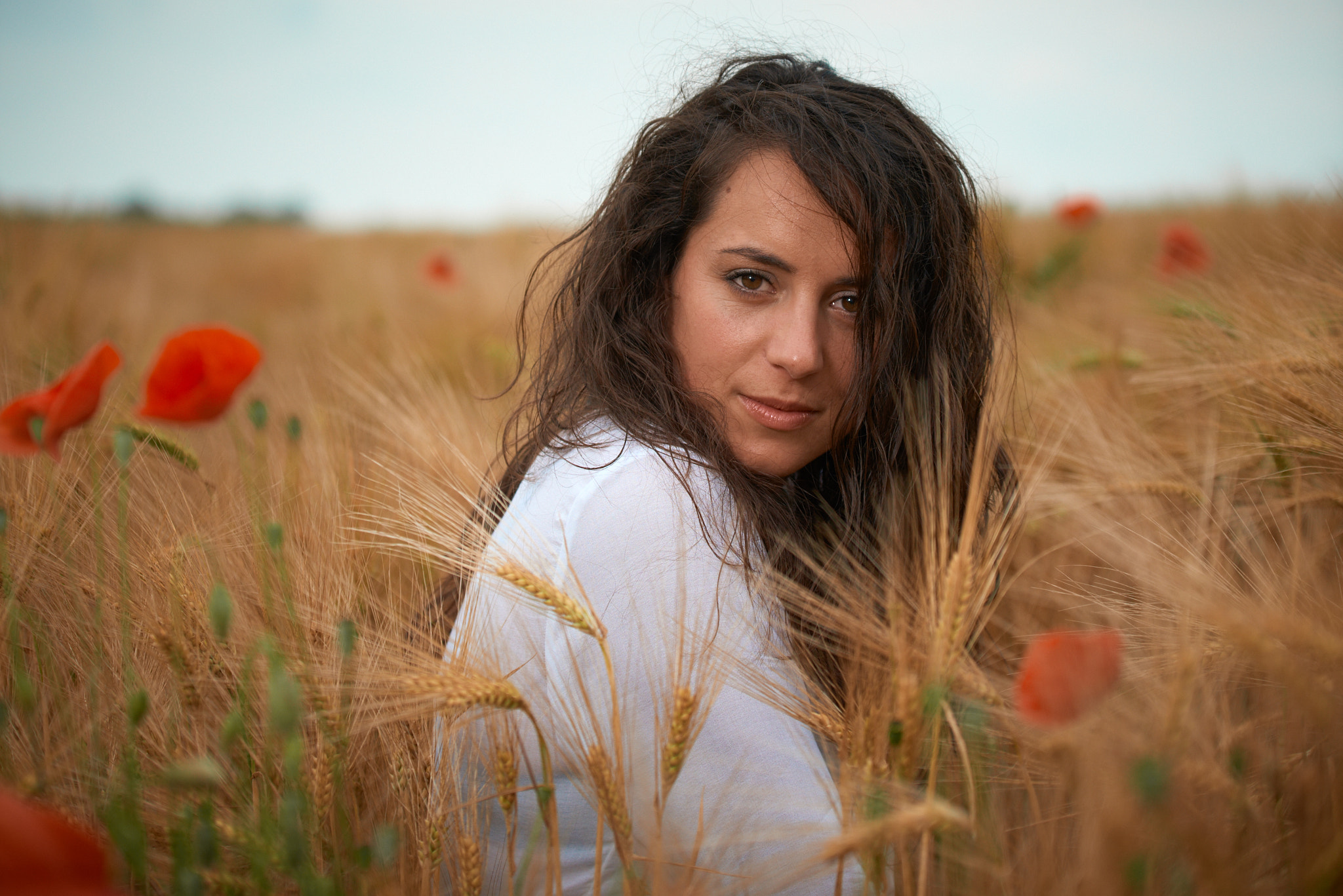 Nikon D810 sample photo. Le champ de coquelicot photography